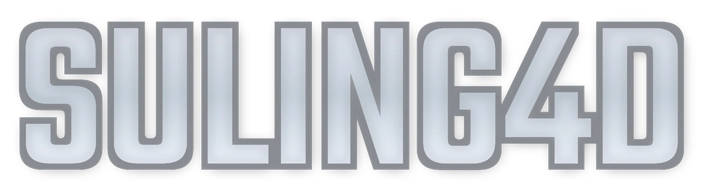 Logo SULING4D